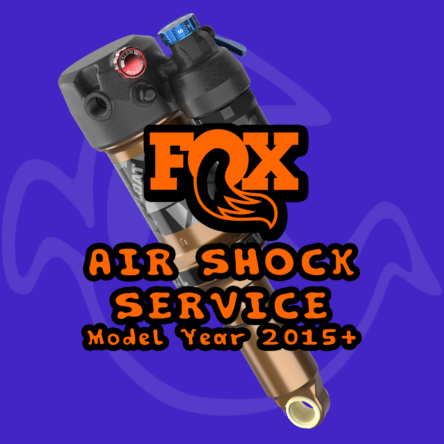 Fox 2015+ Air Shock Service