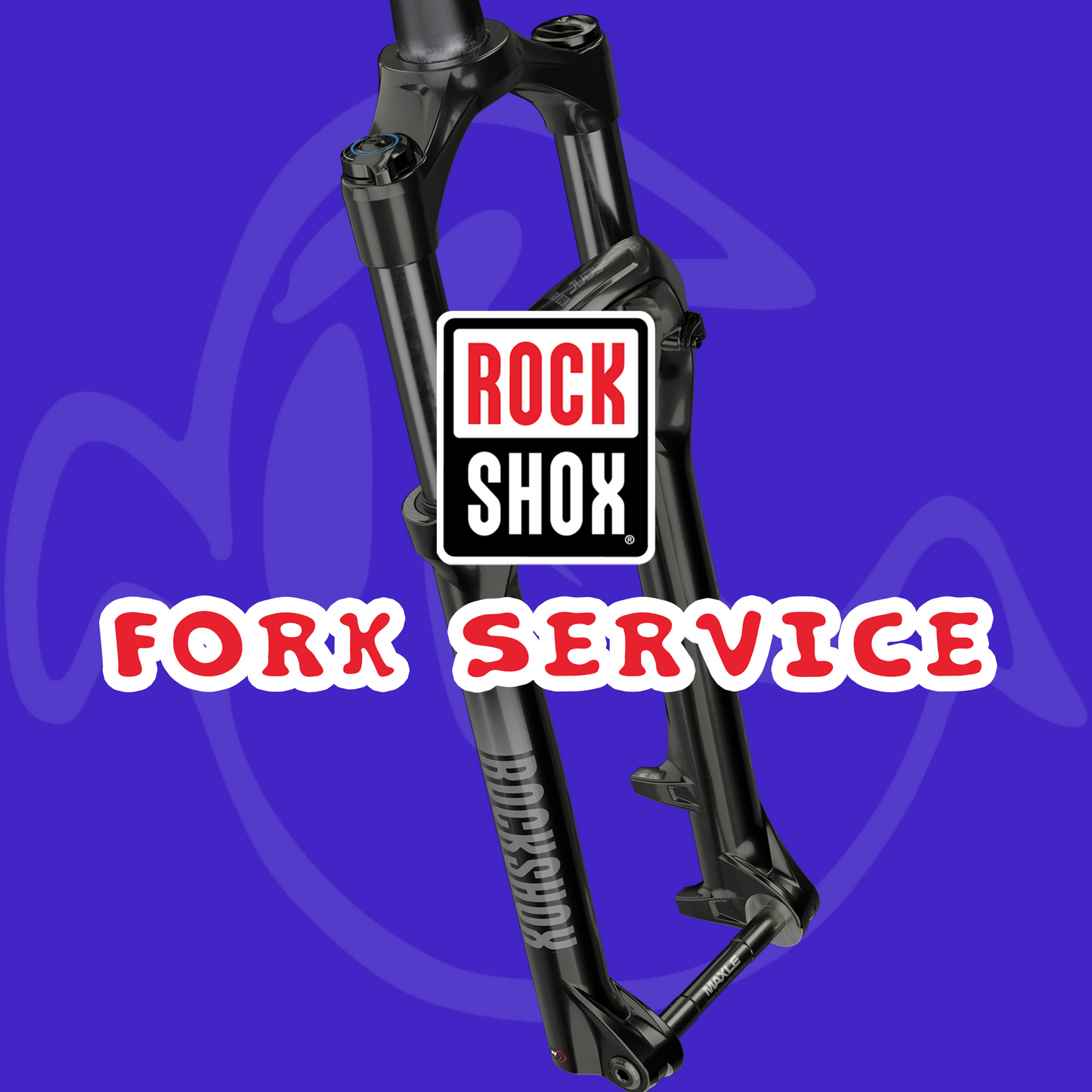 RockShox Fork Service